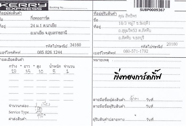 Kerry Ѵ ػ  Ҵ 5x7  ẺͧѺ ͧ ( 3385) س ԷԾ ºǤѺ