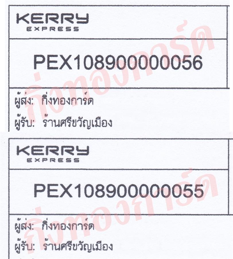 [Orange Express by KERRY] Ѵ  طǹ 촡Թ 5x7  ˹ ͧ ҹբѭͧ