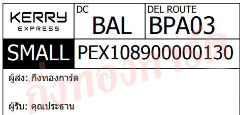 [OrangeExpress by KERRY] Ѵ 촾 ҡԹ Ҵ 5x7  ˹ ͧ (85392) س иҹ Ѻ