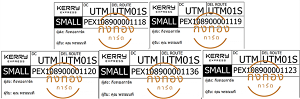 [KERRY] Ѵ  촺حԹ 촺حѰ 촺حط 촧ҹȾ Ҵ 5x7  ẺѺ ͧ سó