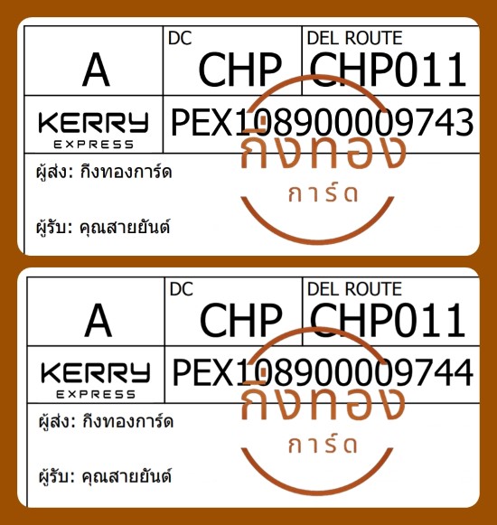 [Kerry] Ѵ ҡ촧ҹȾ  100 ѹ 촩ͧѰ Ҵ 5x7  ẺѺ ͧ س ѹ ǤѺ
