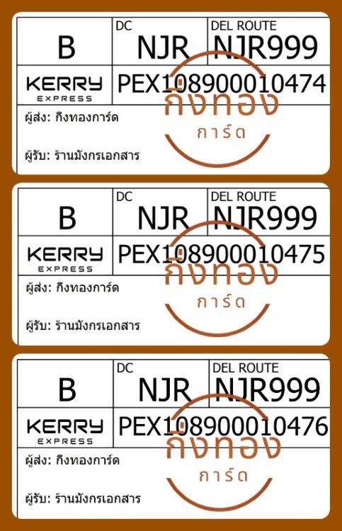 [Kerry] Ѵ ҡ촧ҹȾ 100ѹ 촩ͧѰ Ҵ 5x7  ẺѺ ͧ | ͧ ҹѧ