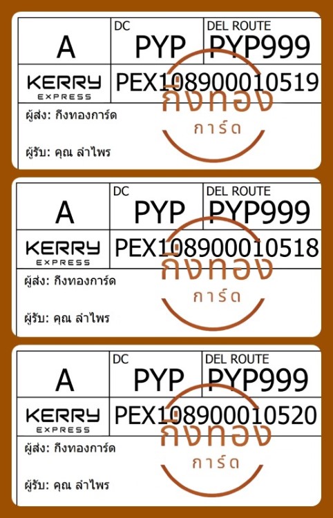 [Kerry] Ѵ ͧ觧ҹ ͧ촢鹺ҹ Ҵ 4x6|5x7   7|29 ժ տ س  ǤѺ