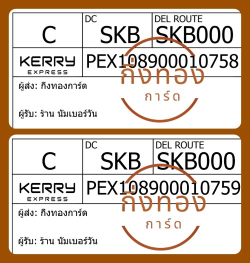[Kerry] Ѵ 觧ҹ 촡Թ 촧ҹǪ Ѱ Ҵ 5x7  ˹ ͧ ҹѹ Ѻ