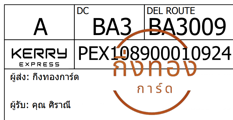 [Kerry] Ѵ 촾ҹطǹ ǹ͹ Ըͤ͹ Ҵ 5x7  ˹ ͧ (85652) س ҳ Ǥ