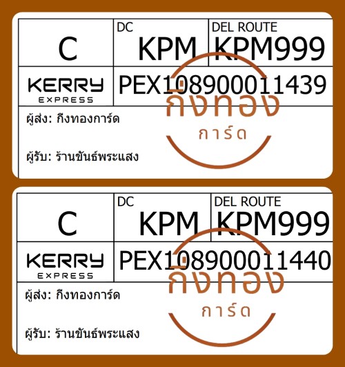 [Kerry] Ѵ ͧûᴧѹ ͧ 29 դ촧ҹ觧ҹ ͧ촧ҹǪ Ҵ 5x7  ҹѹʧ