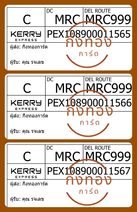 [Kerry] Ѵ ͧ촧ҹ觧ҹ ͧ촧ҹǪ Ҵ 4x6|5x7   7|29 ժ տ դ س èŢ ǤѺ