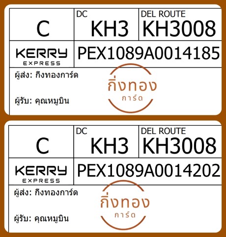 [Kerry] Ѵ 
